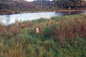 Site of the Holy Well October 2008